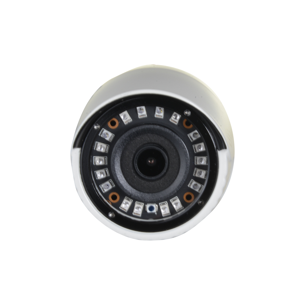 SF-B024-2E4N1